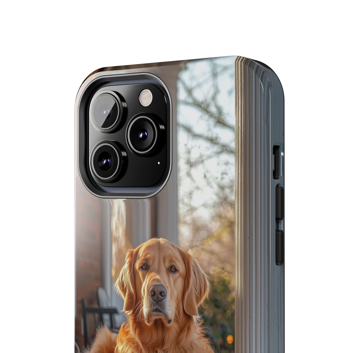 Golden Retriever on Porch - iPhone Series Case