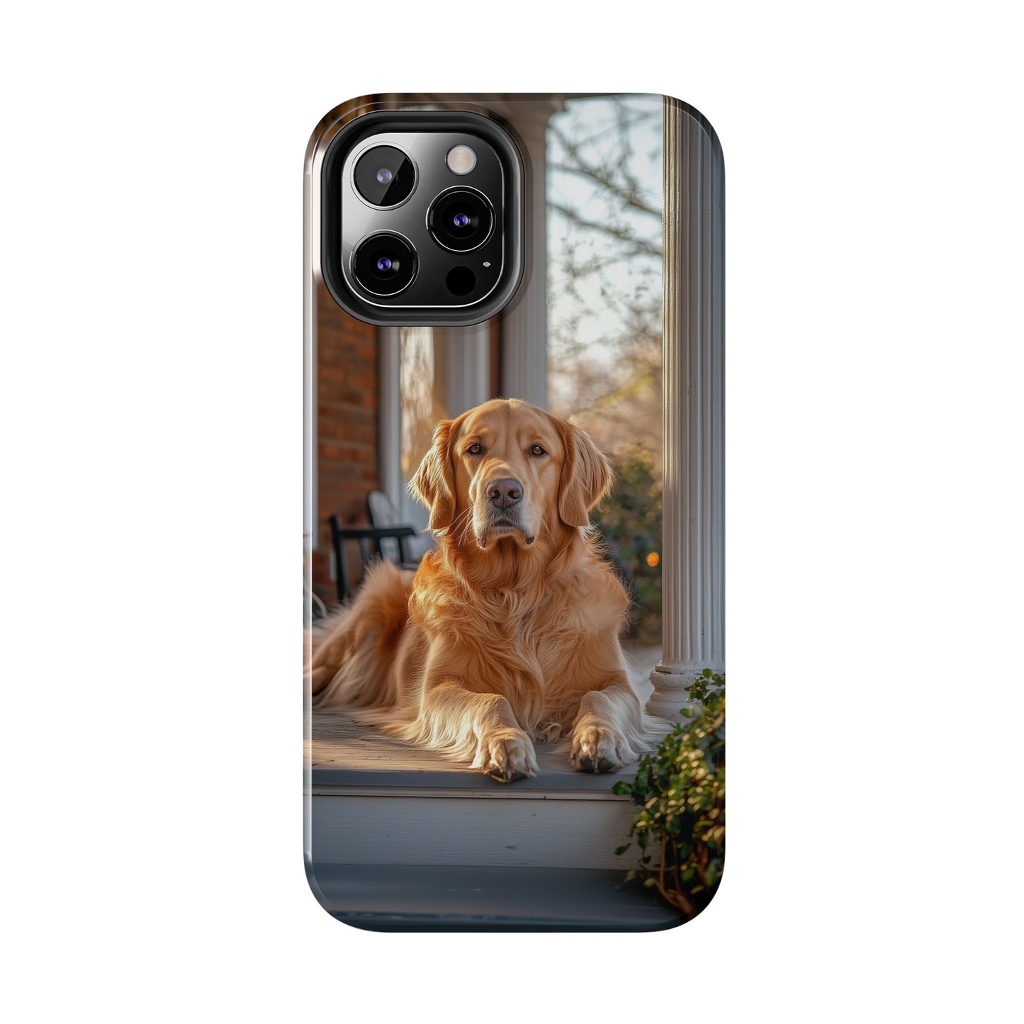 Golden Retriever on Porch - iPhone Series Case