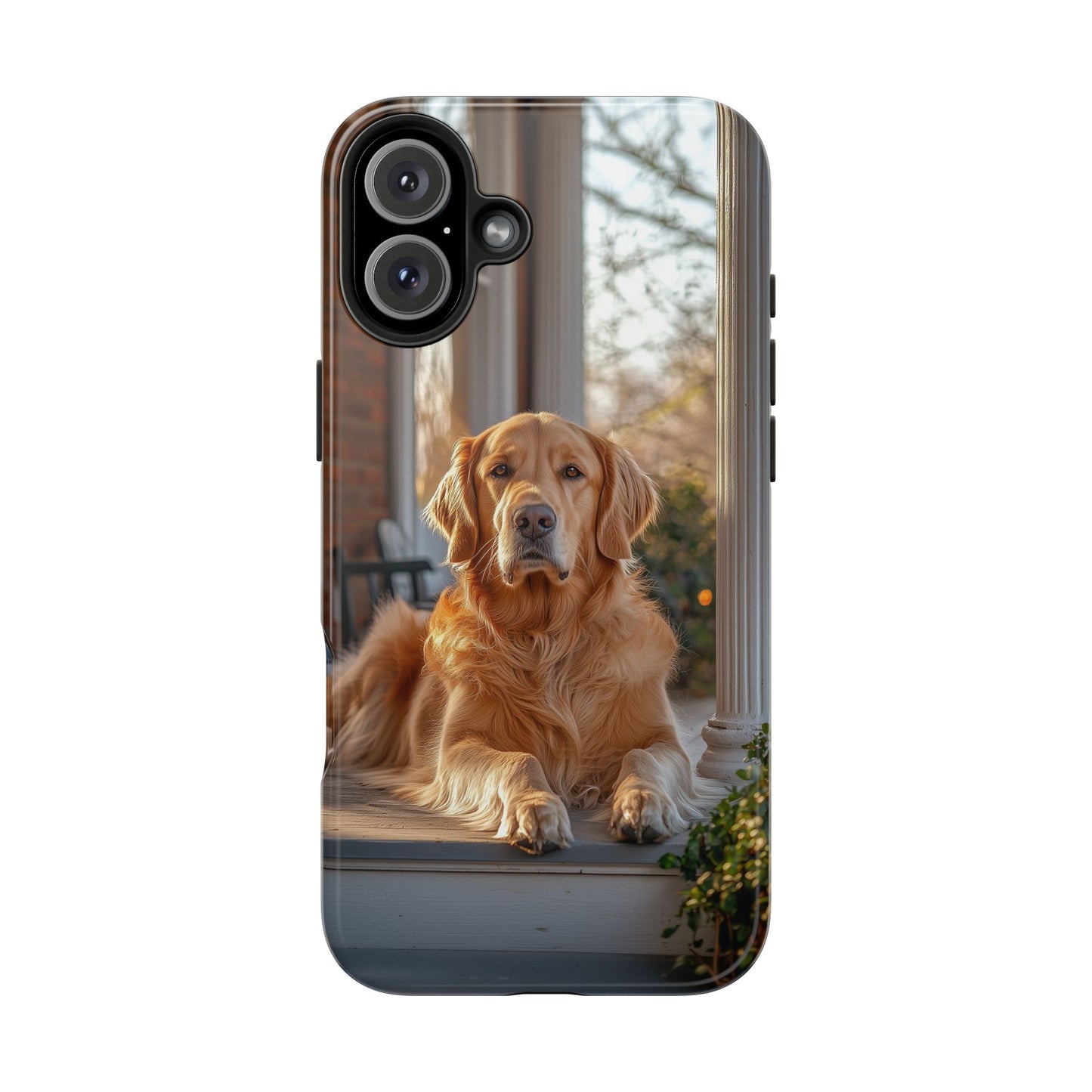 Golden Retriever on Porch - iPhone Series Case