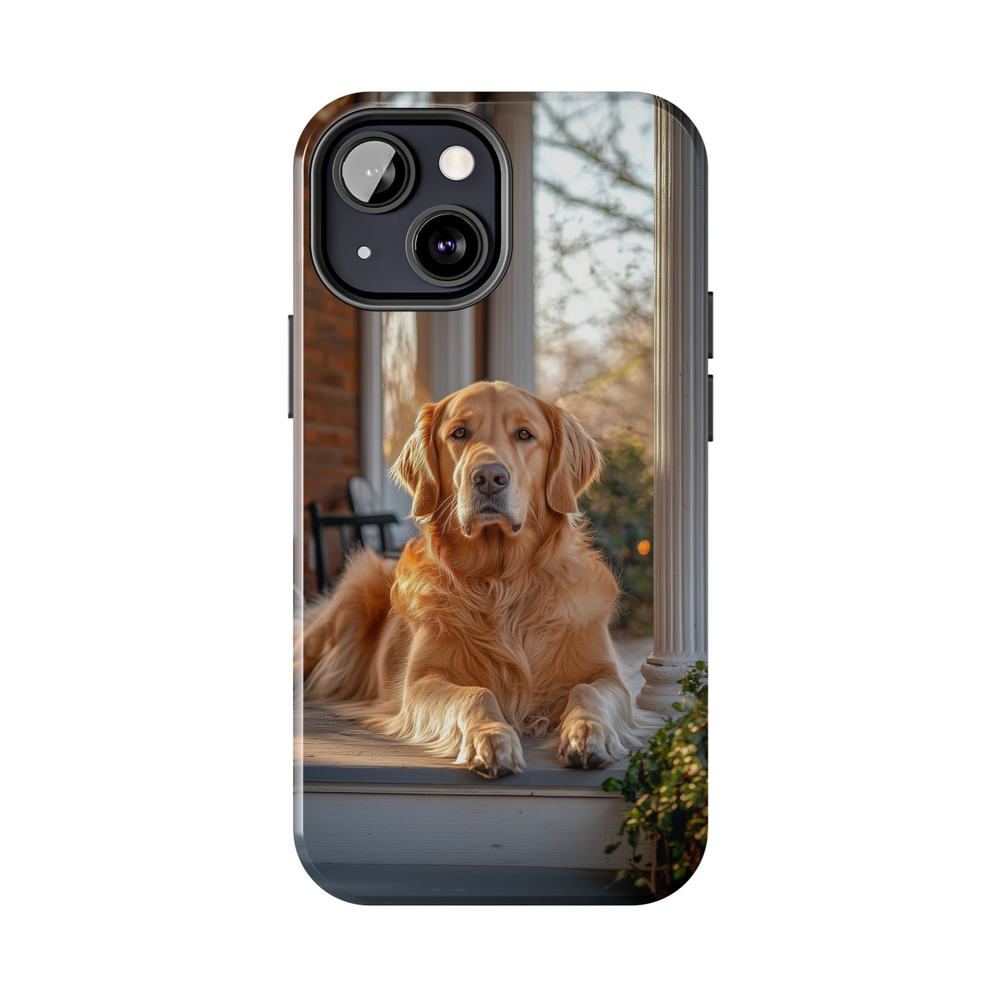 Golden Retriever on Porch - iPhone Series Case