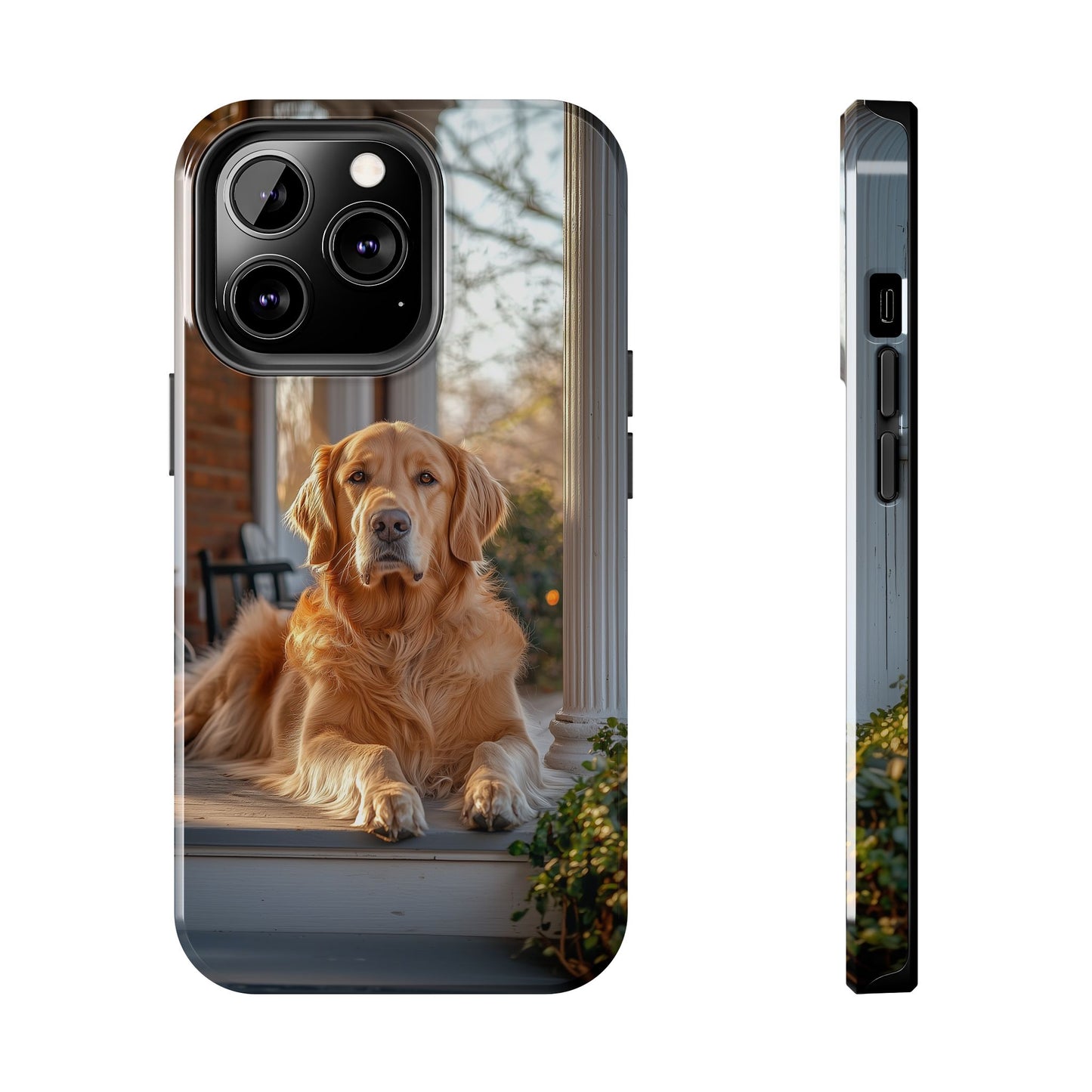 Golden Retriever on Porch - iPhone Series Case