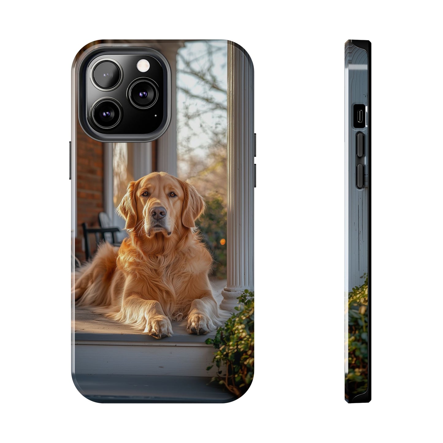 Golden Retriever on Porch - iPhone Series Case