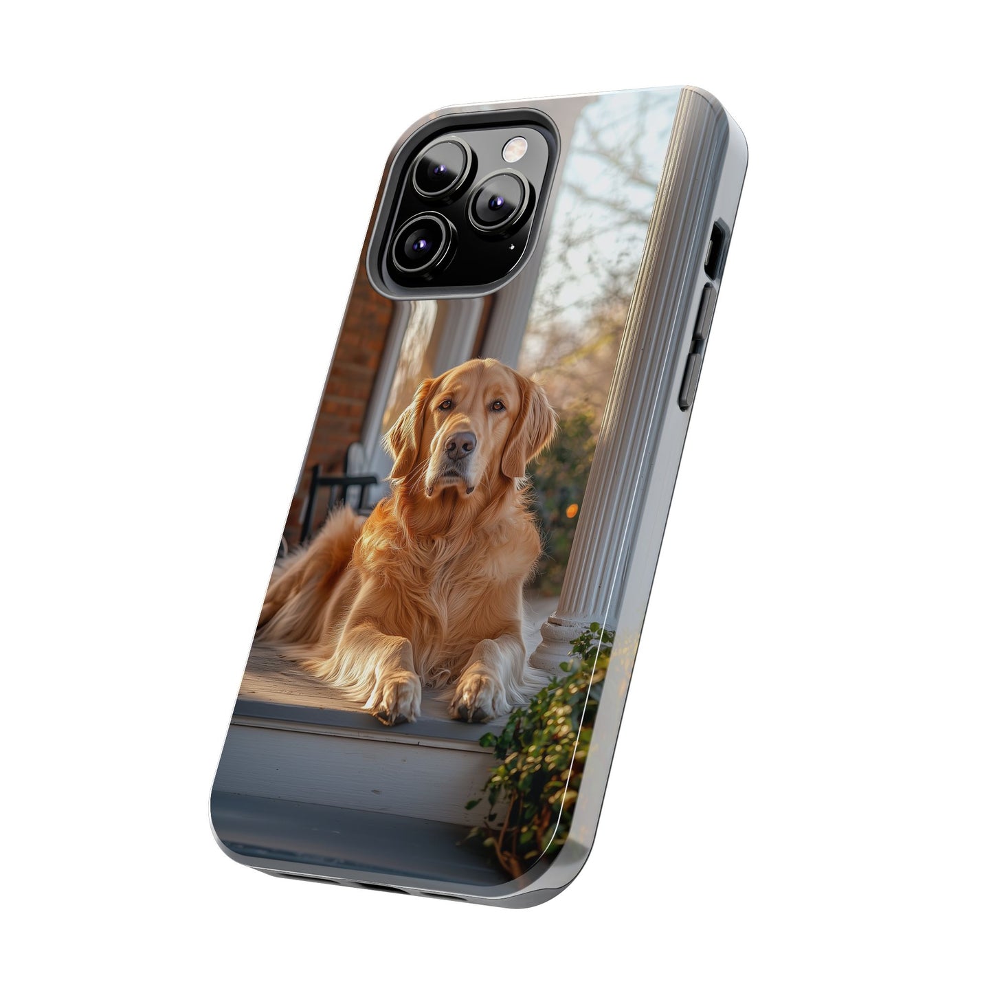 Golden Retriever on Porch - iPhone Series Case