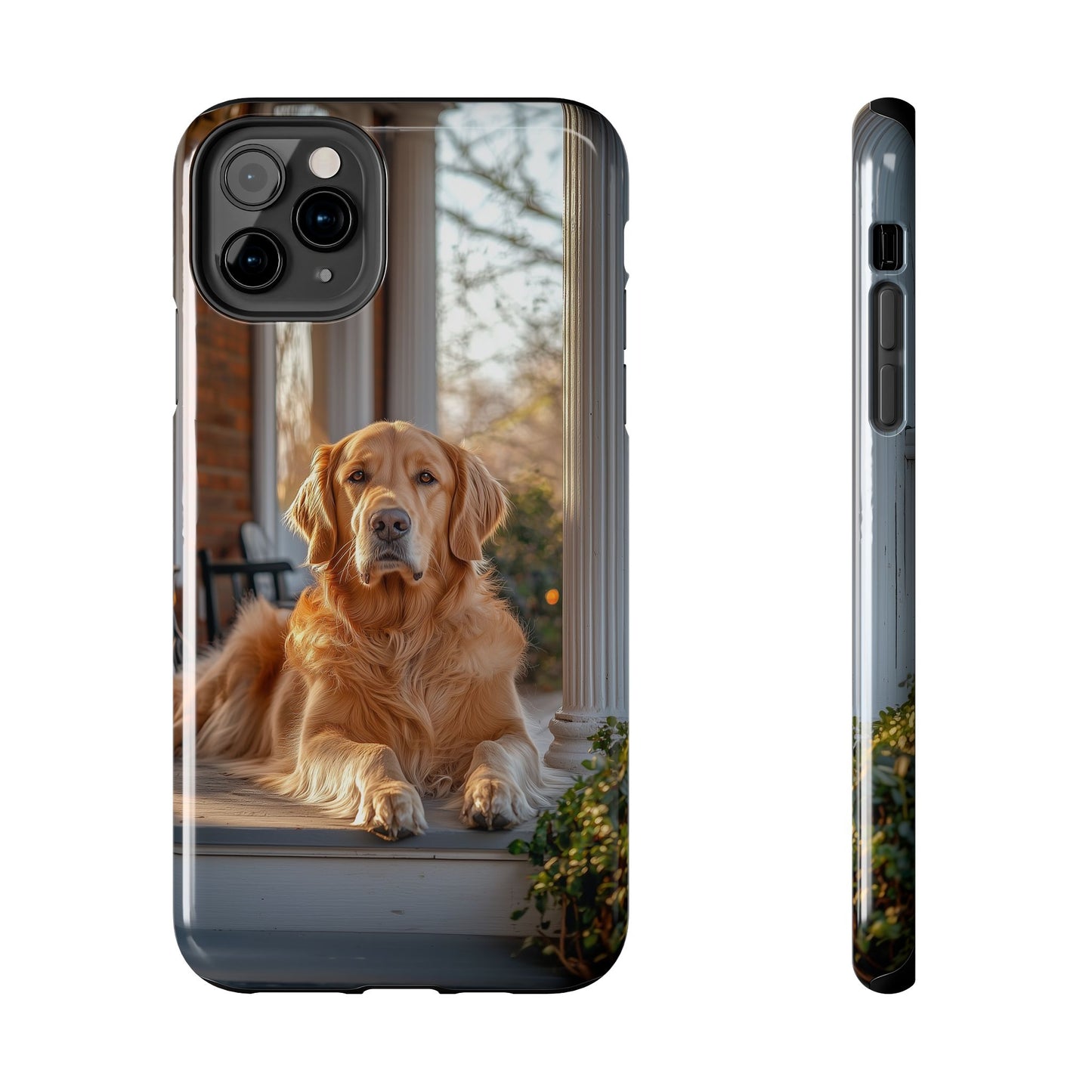 Golden Retriever on Porch - iPhone Series Case