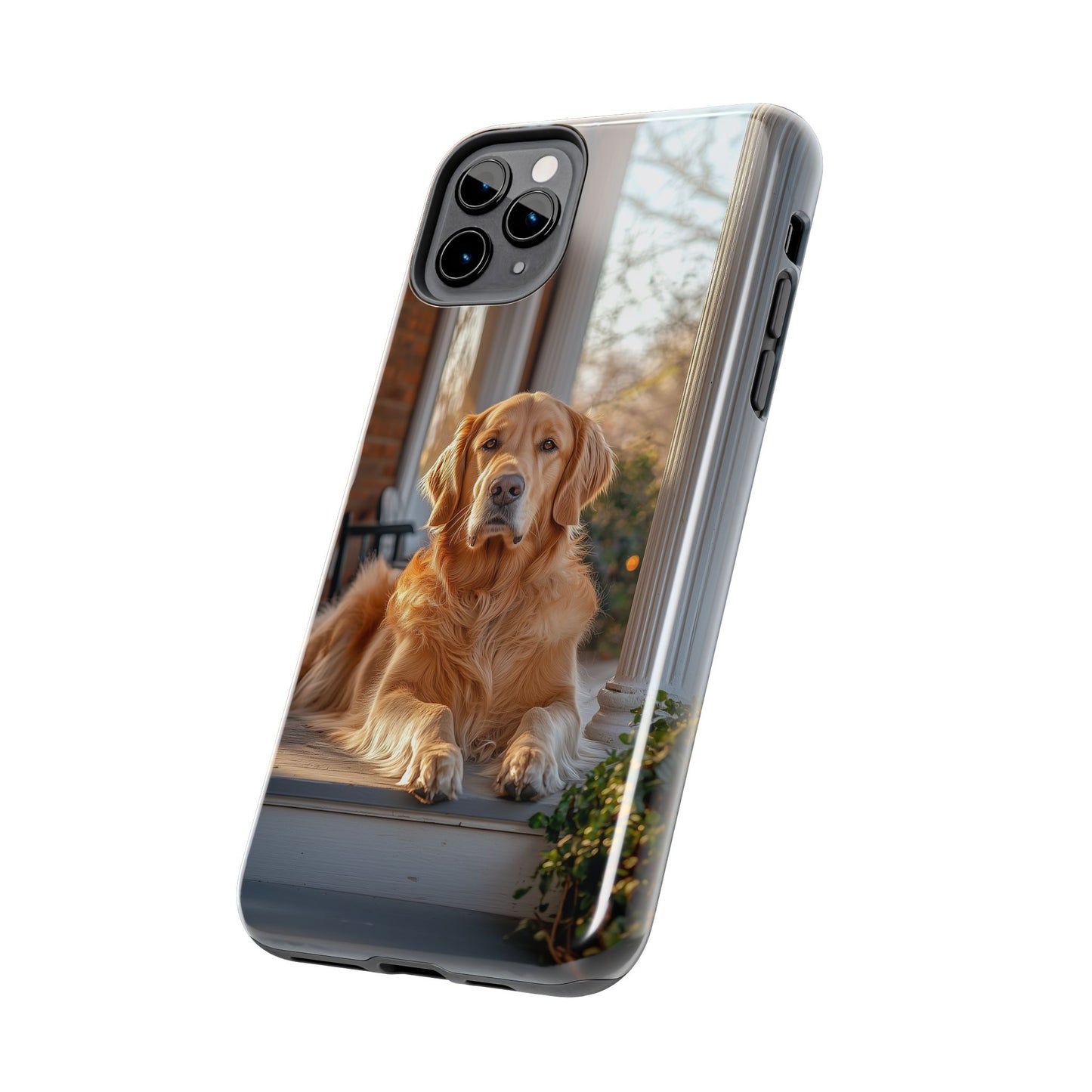 Golden Retriever on Porch - iPhone Series Case