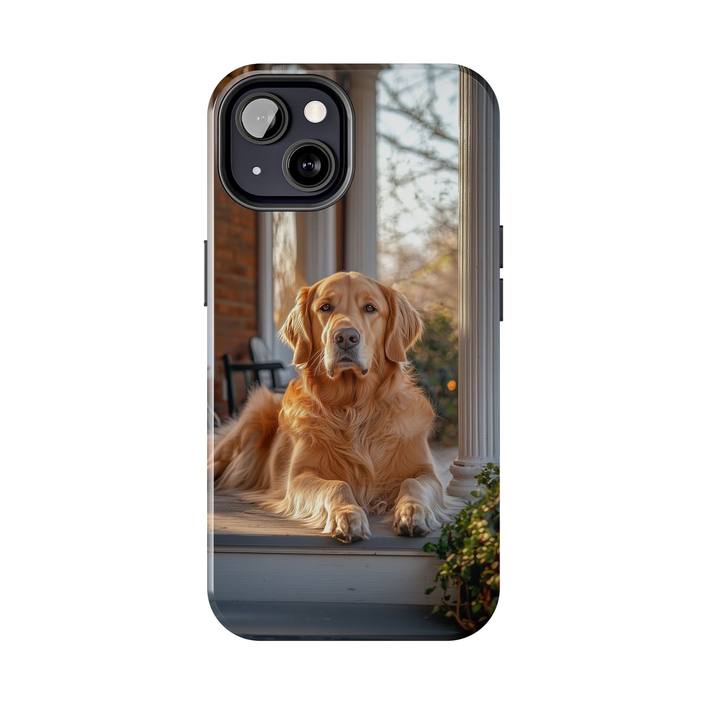Golden Retriever on Porch - iPhone Series Case