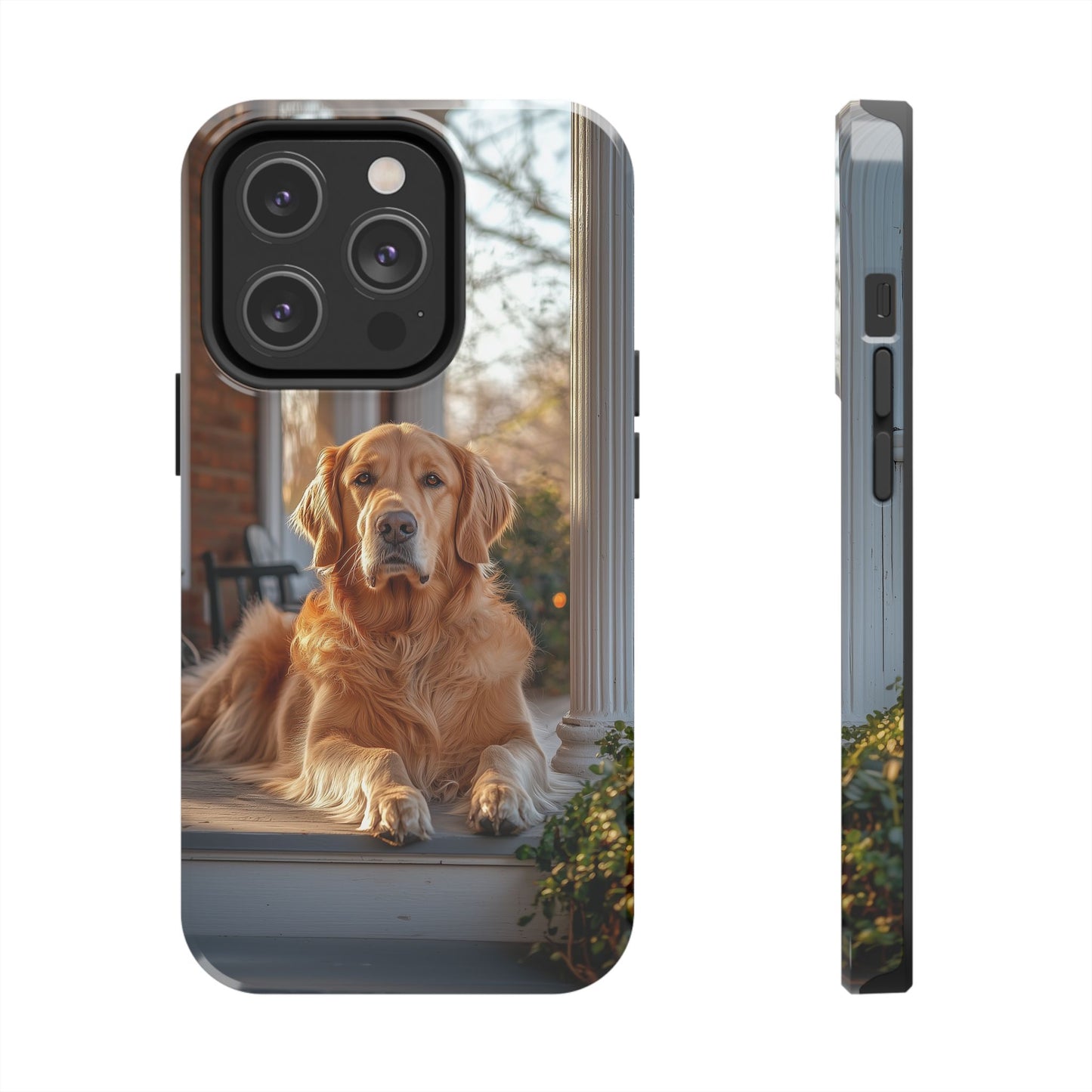 Golden Retriever on Porch - iPhone Series Case