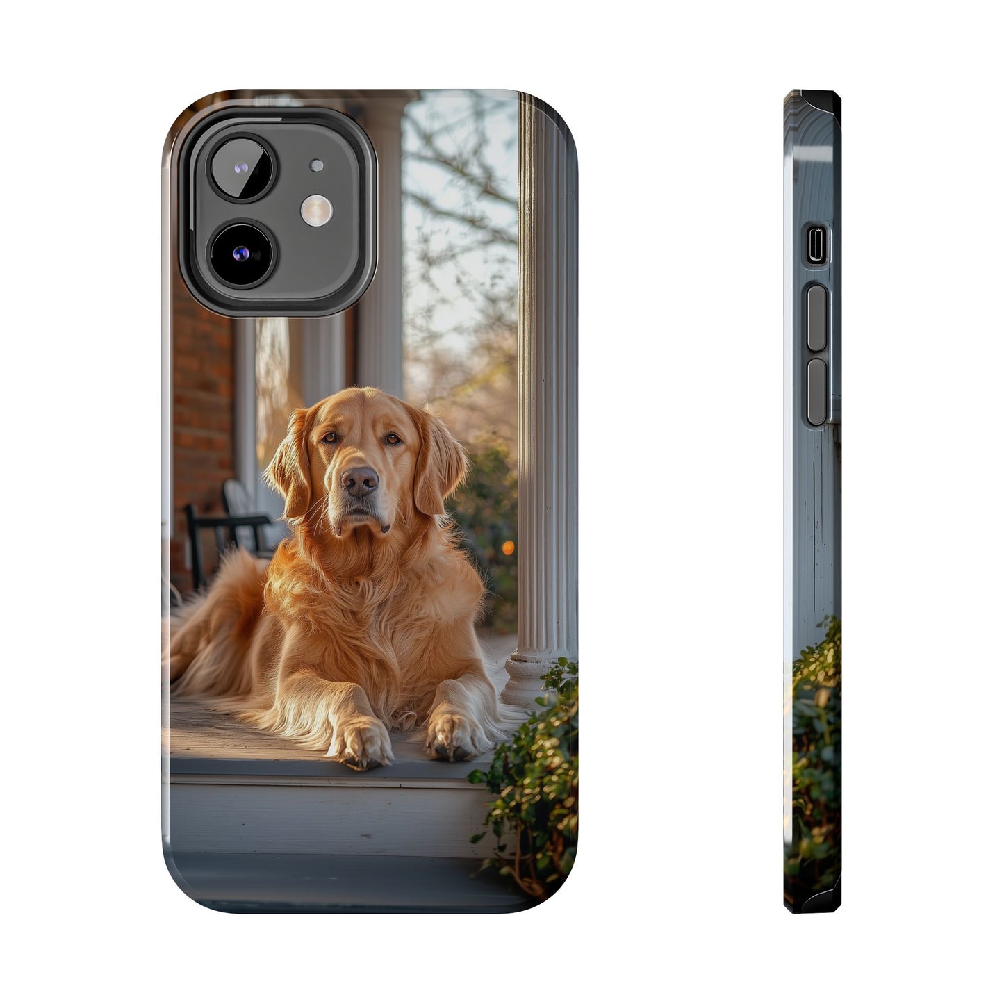 Golden Retriever on Porch - iPhone Series Case