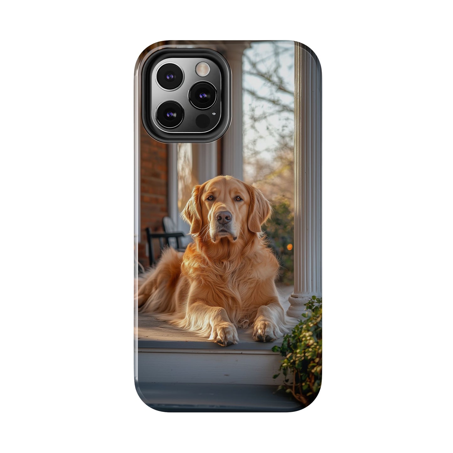 Golden Retriever on Porch - iPhone Series Case