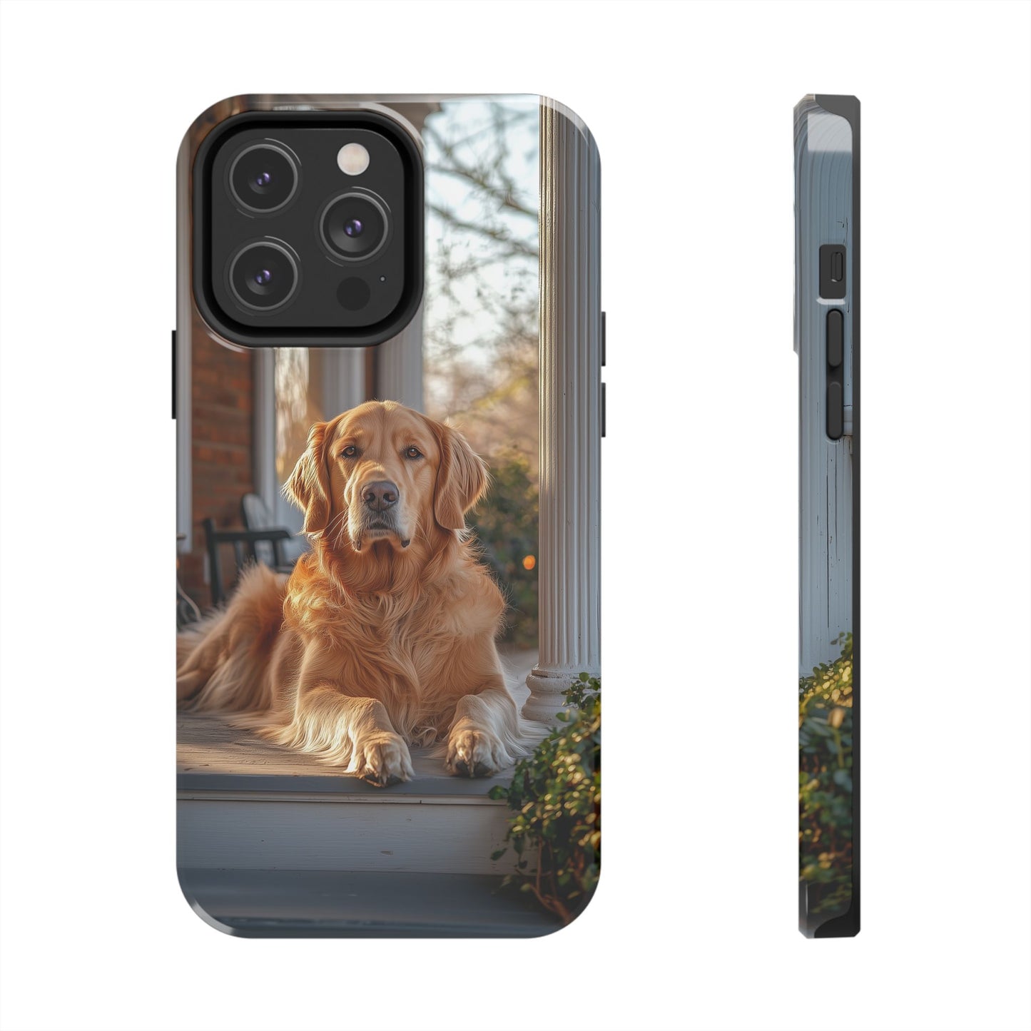 Golden Retriever on Porch - iPhone Series Case