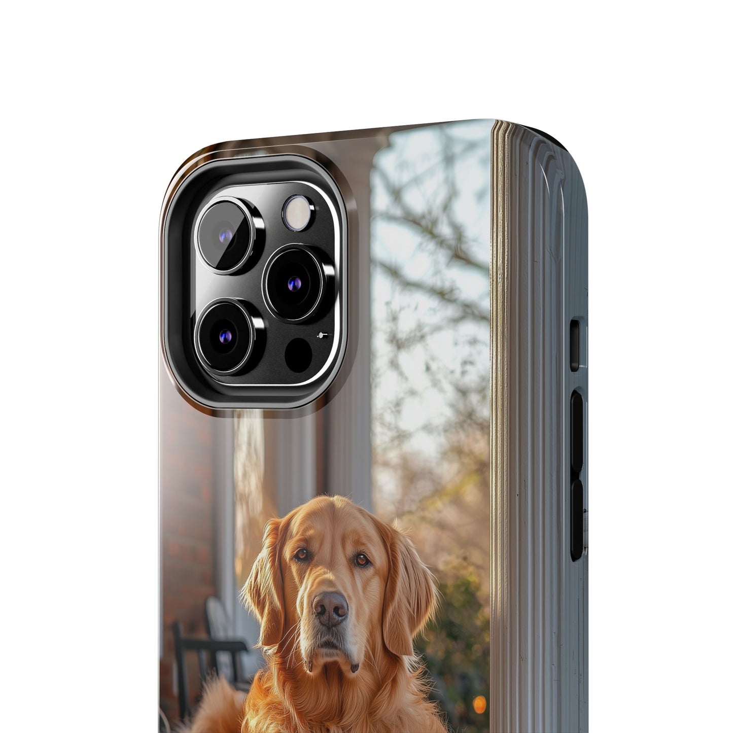 Golden Retriever on Porch - iPhone Series Case