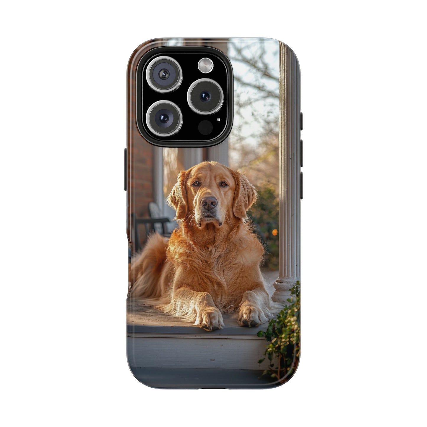 Golden Retriever on Porch - iPhone Series Case
