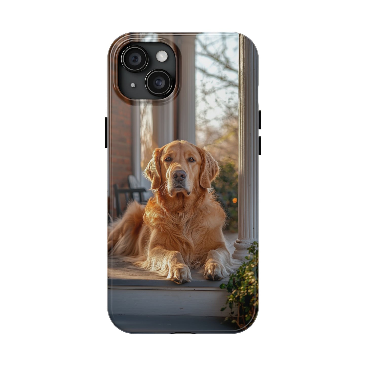 Golden Retriever on Porch - iPhone Series Case