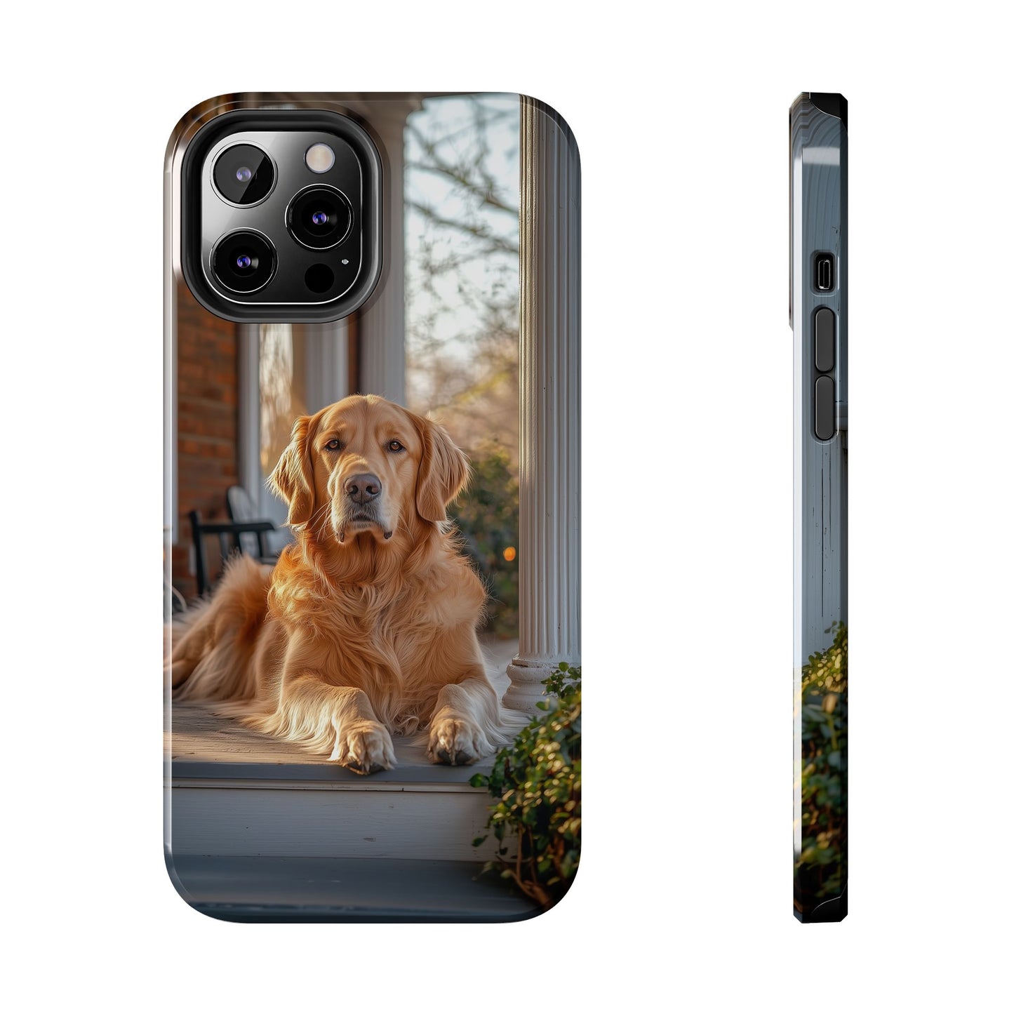 Golden Retriever on Porch - iPhone Series Case