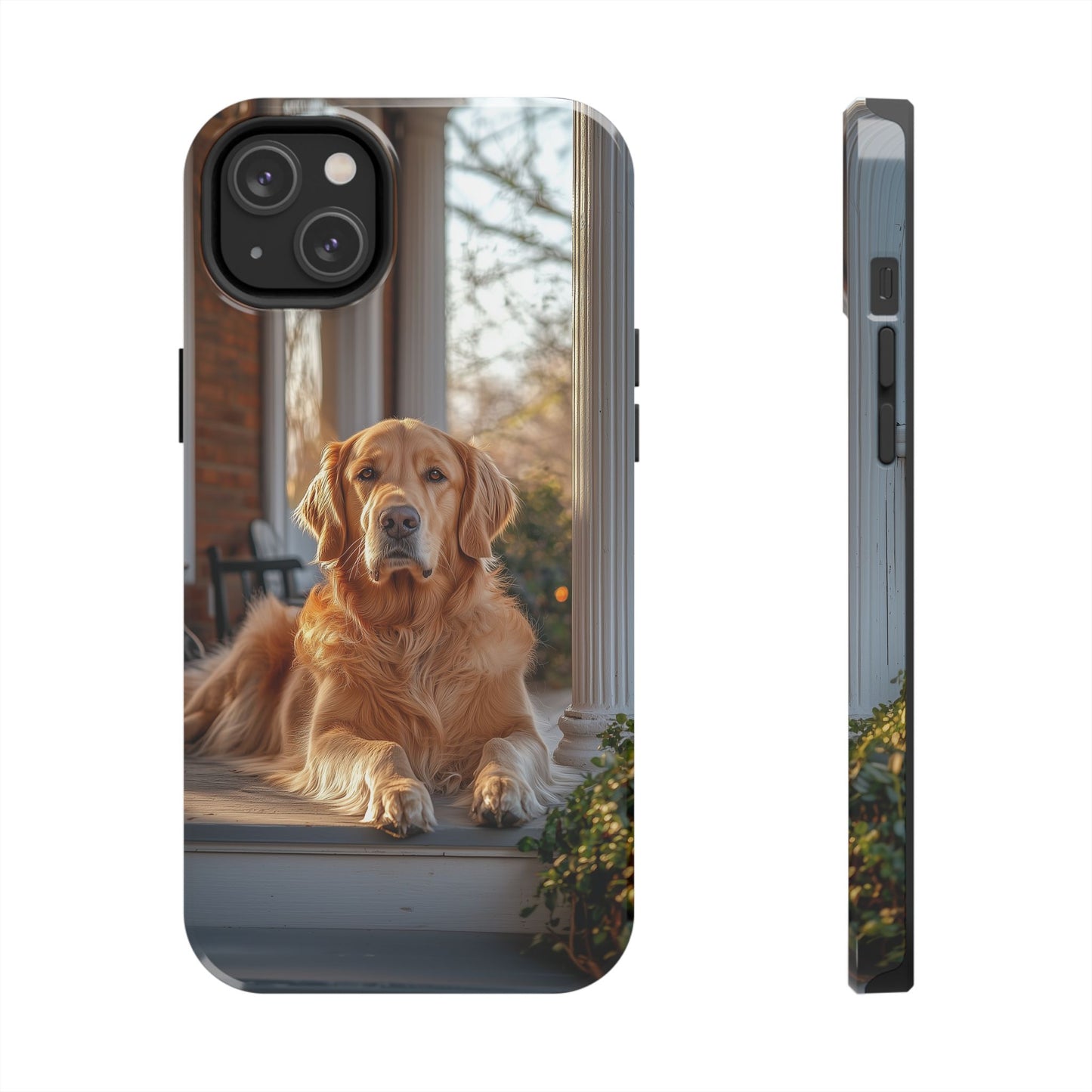 Golden Retriever on Porch - iPhone Series Case