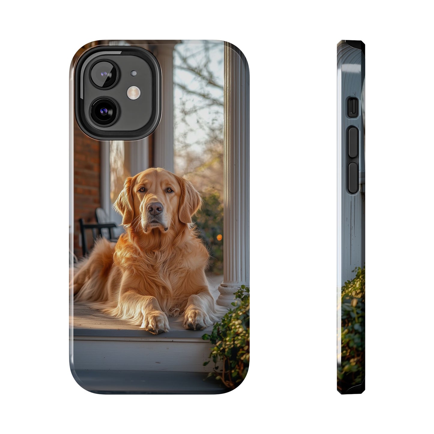 Golden Retriever on Porch - iPhone Series Case