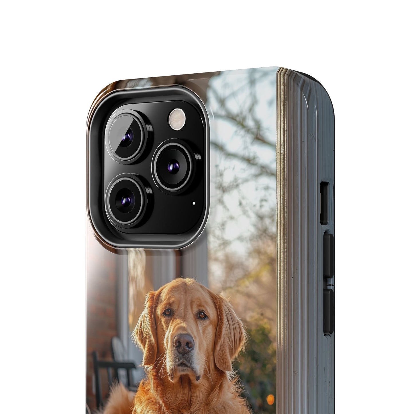 Golden Retriever on Porch - iPhone Series Case