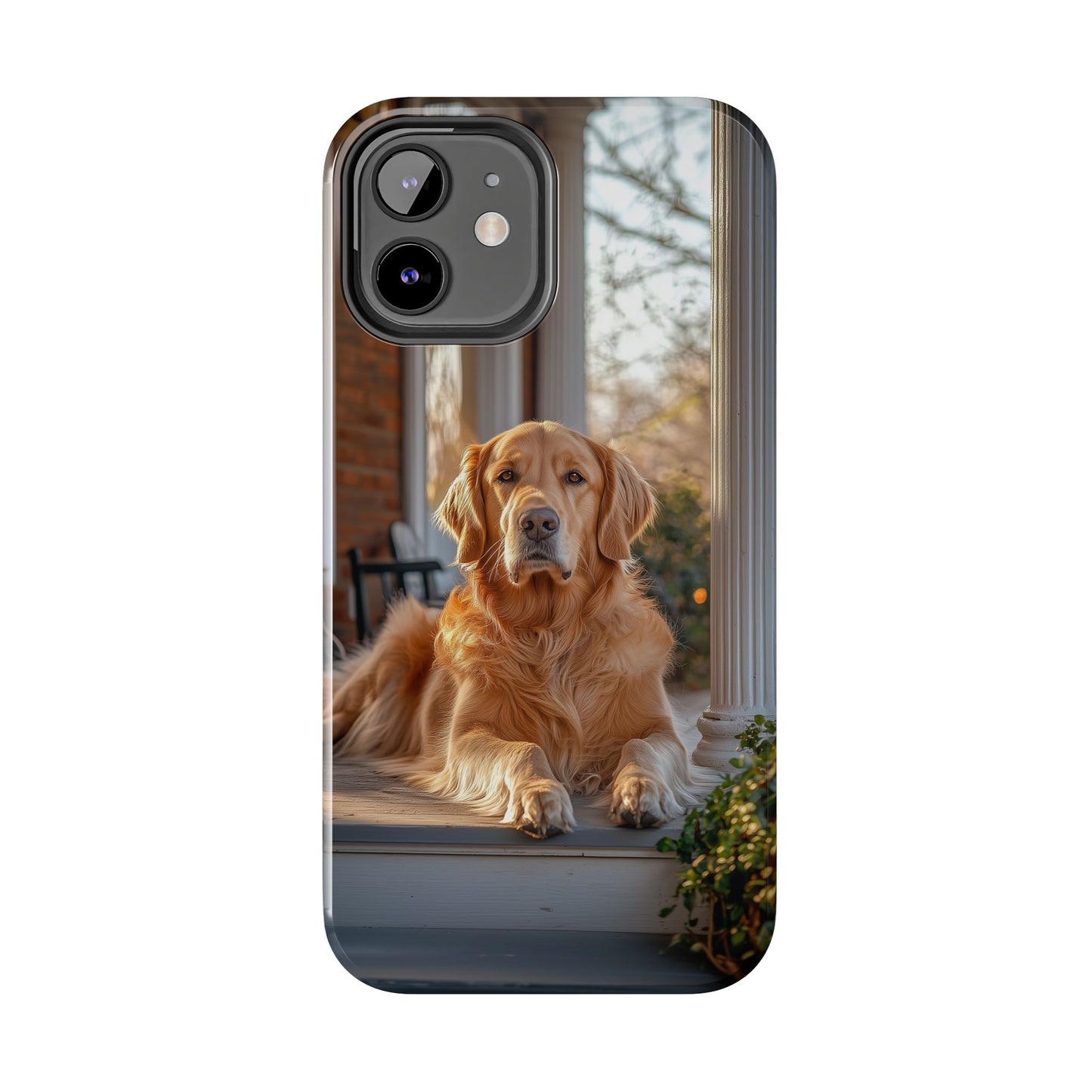 Golden Retriever on Porch - iPhone Series Case
