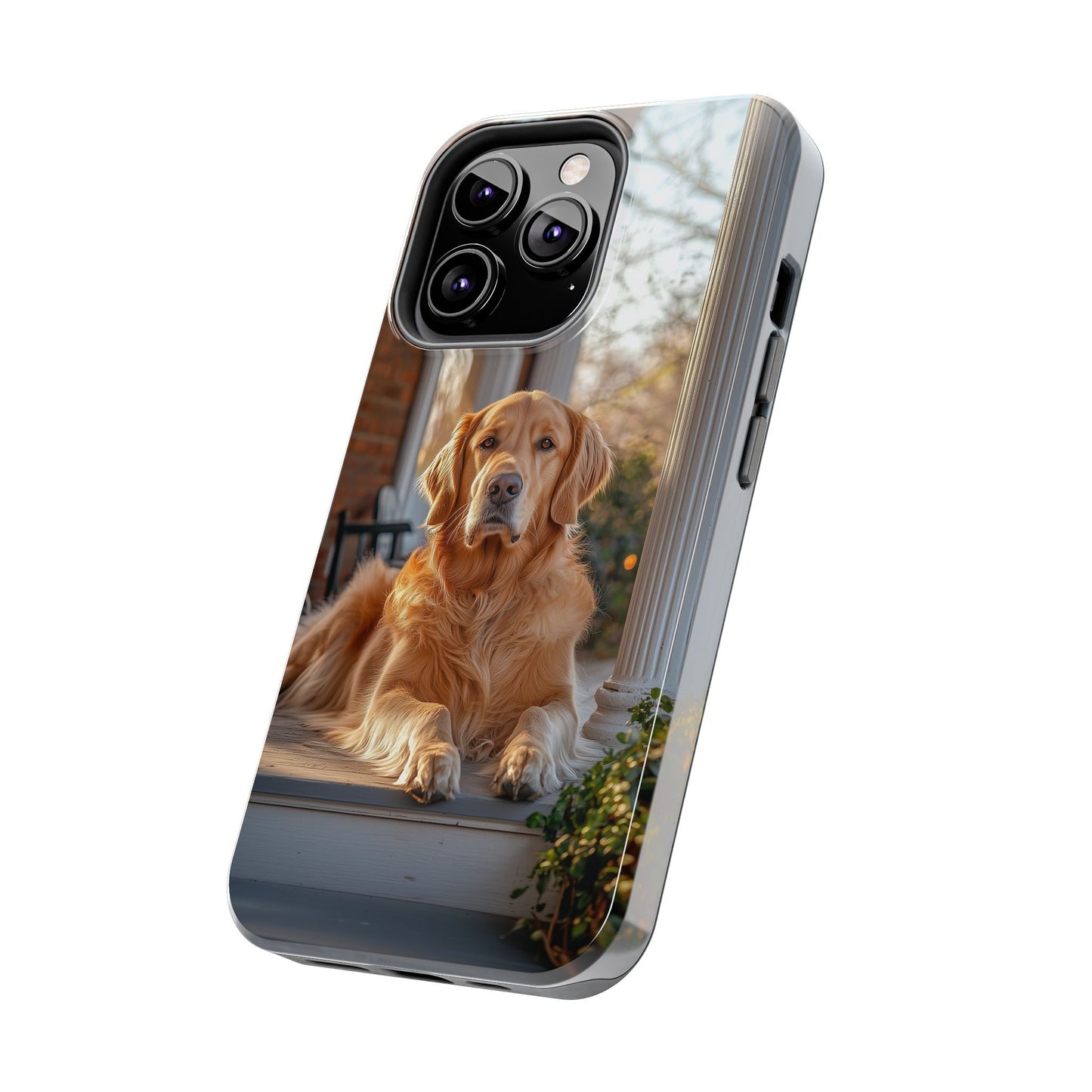 Golden Retriever on Porch - iPhone Series Case