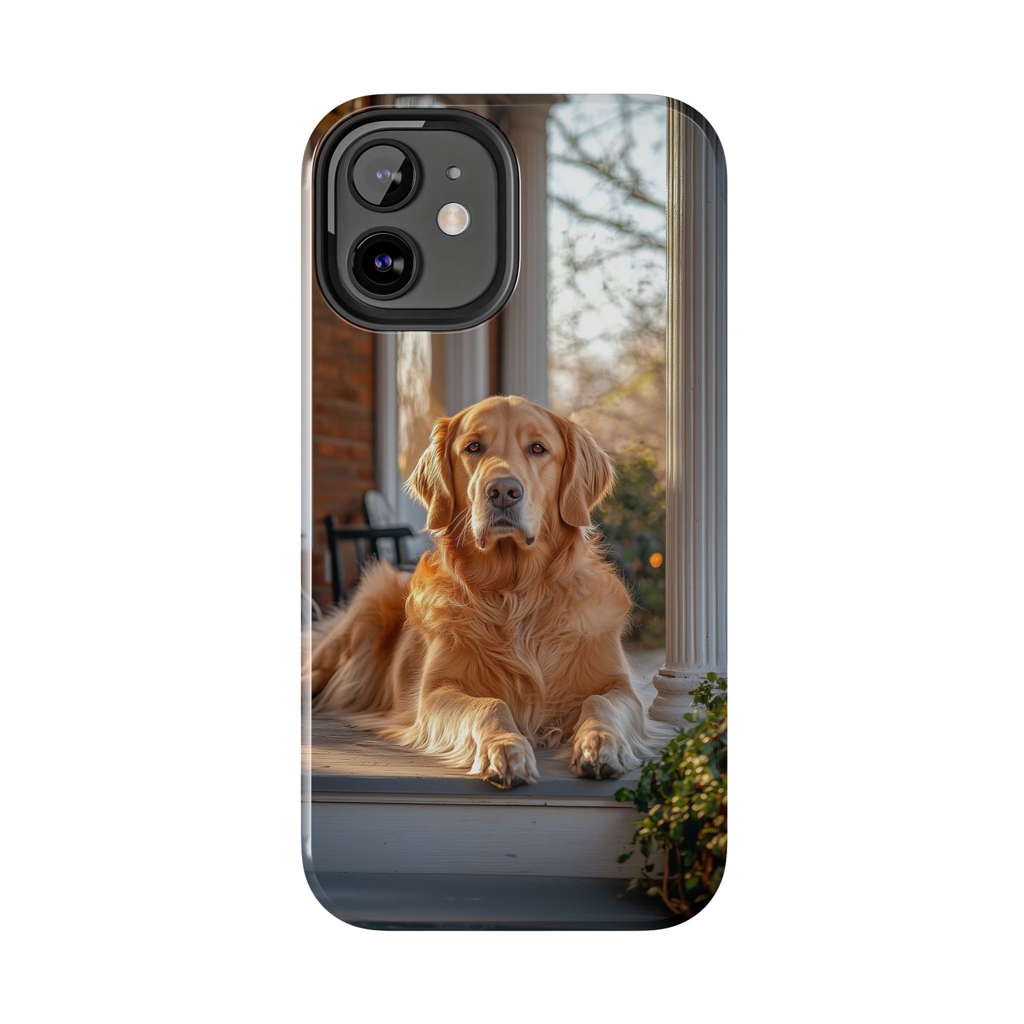 Golden Retriever on Porch - iPhone Series Case