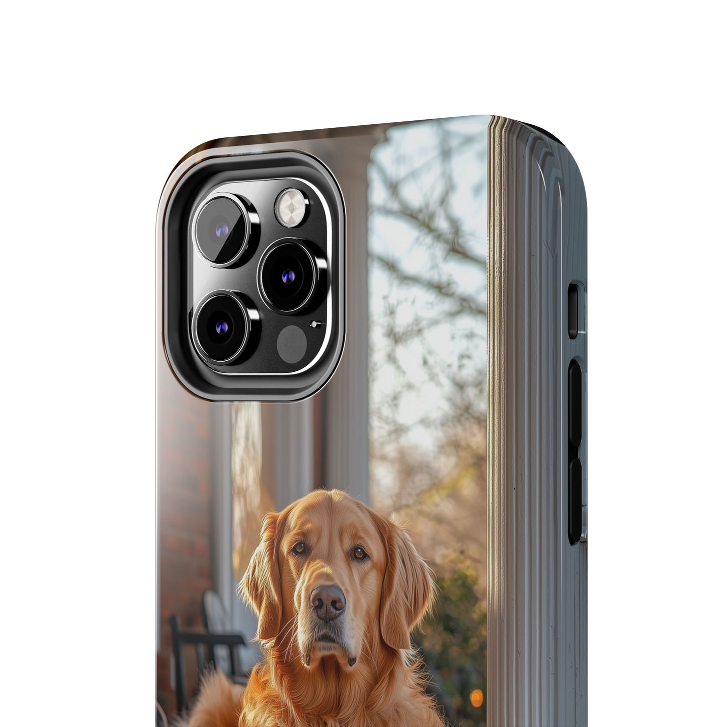 Golden Retriever on Porch - iPhone Series Case