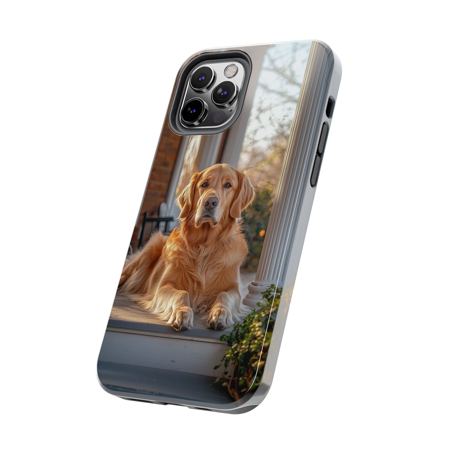 Golden Retriever on Porch - iPhone Series Case