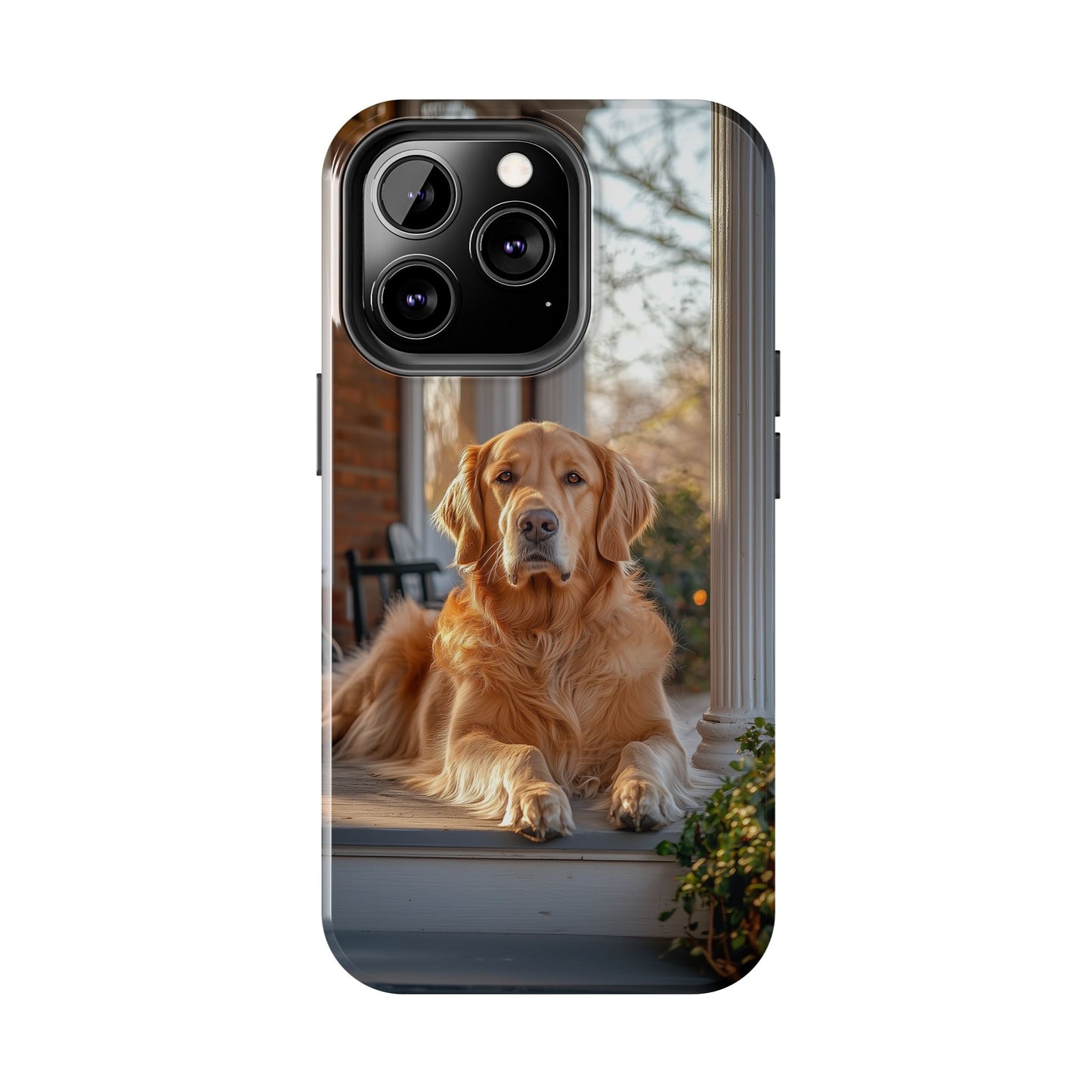 Golden Retriever on Porch - iPhone Series Case