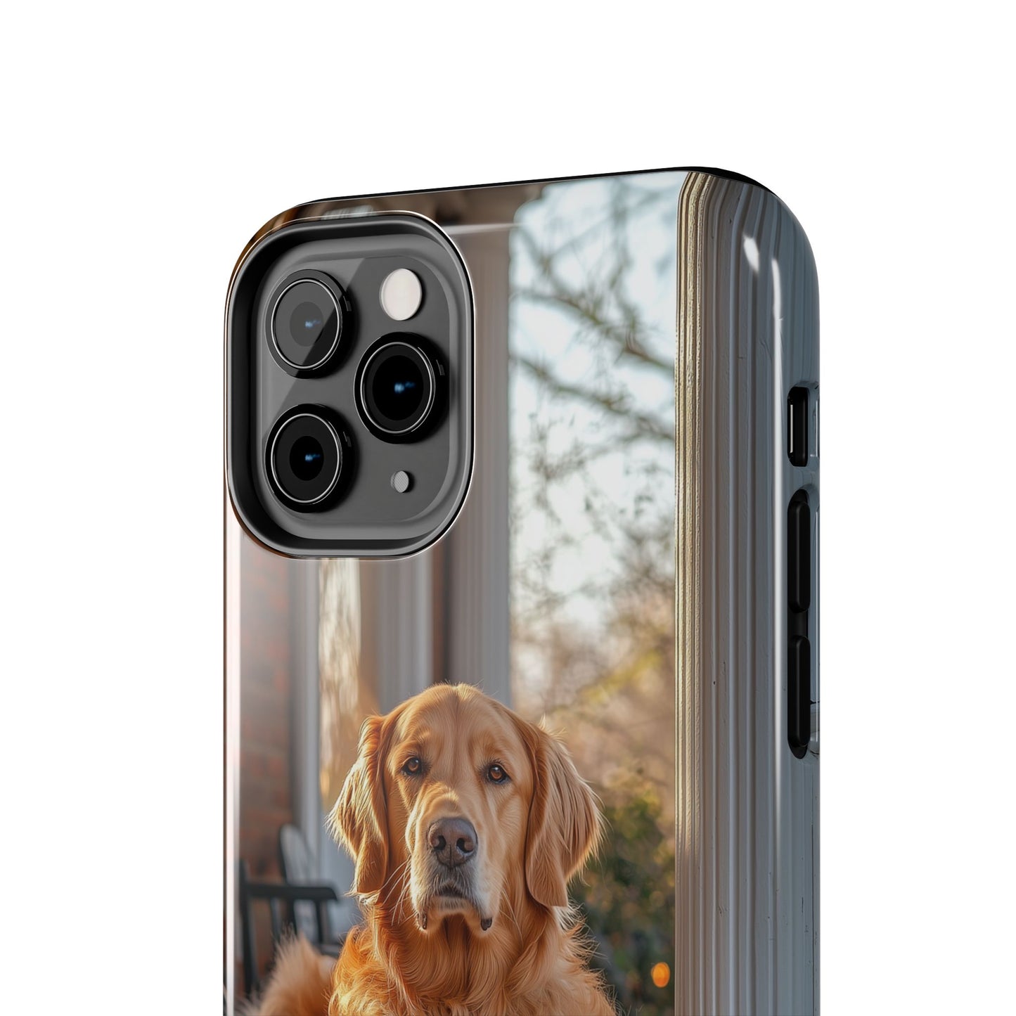 Golden Retriever on Porch - iPhone Series Case