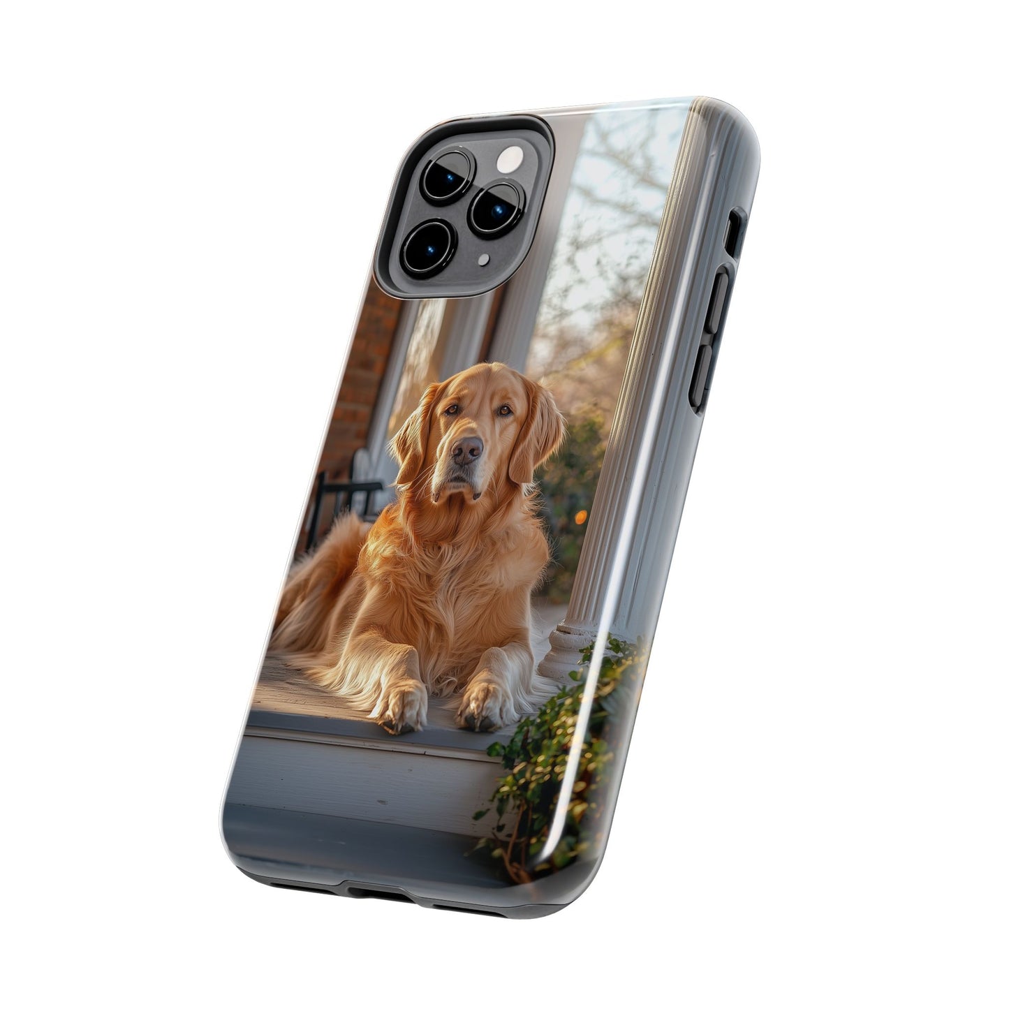 Golden Retriever on Porch - iPhone Series Case