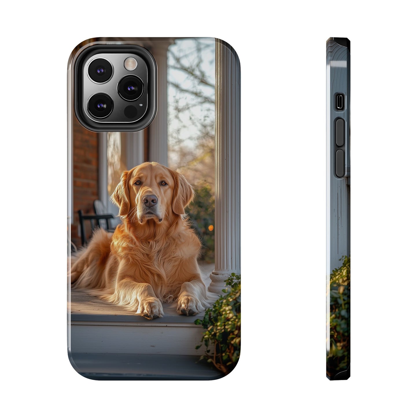 Golden Retriever on Porch - iPhone Series Case