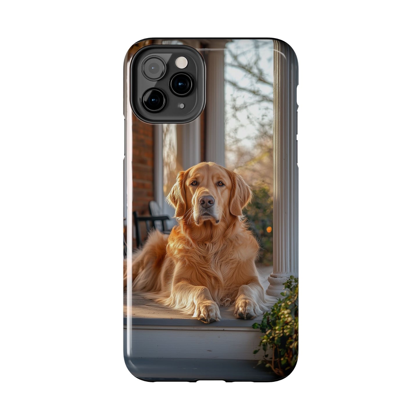 Golden Retriever on Porch - iPhone Series Case