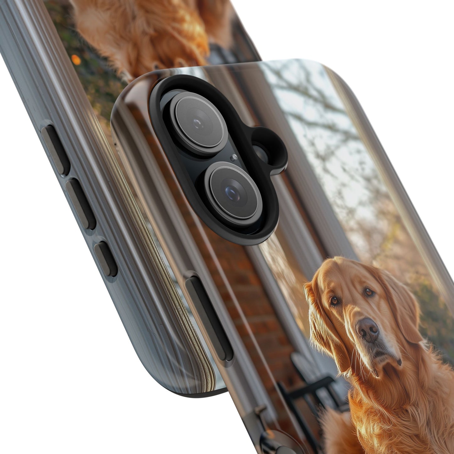Golden Retriever on Porch - iPhone Series Case