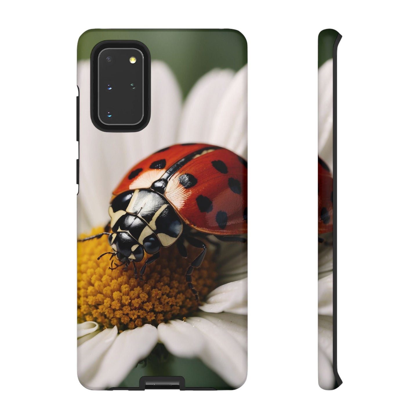 Samsung Galaxy Case: Ladybug on White Daisy