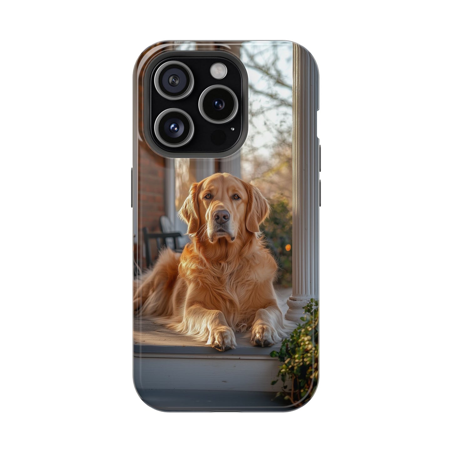 Golden Retriever on Porch - iPhone MagSafe Series Case