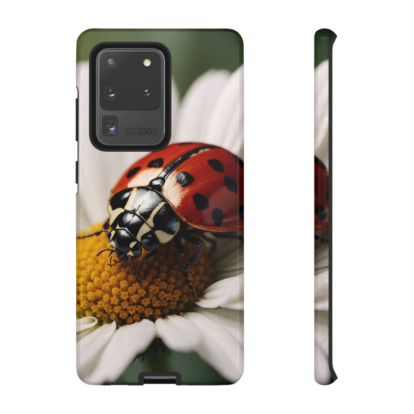 Samsung Galaxy Case: Ladybug on White Daisy