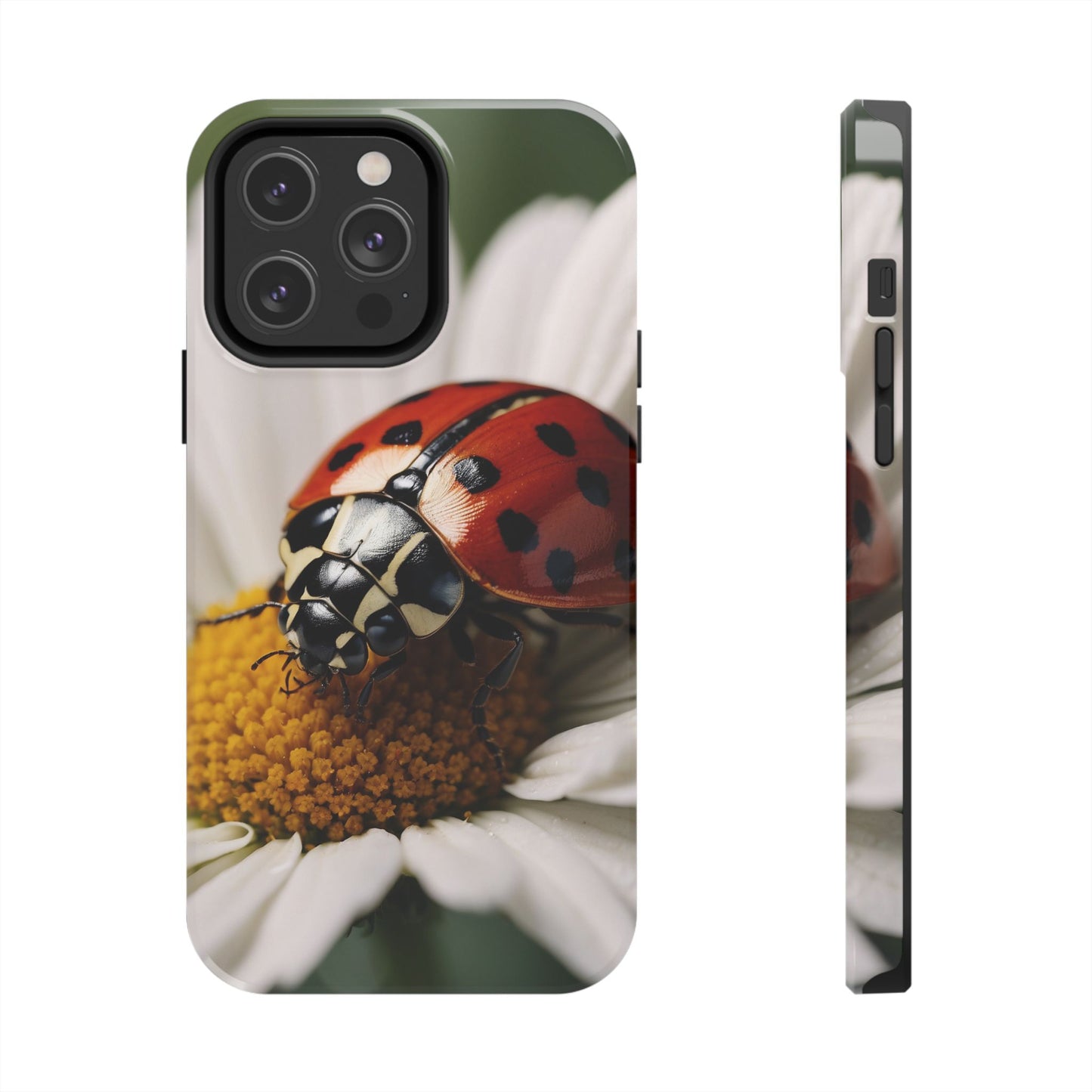 iPhone Case: Ladybug on White Daisy