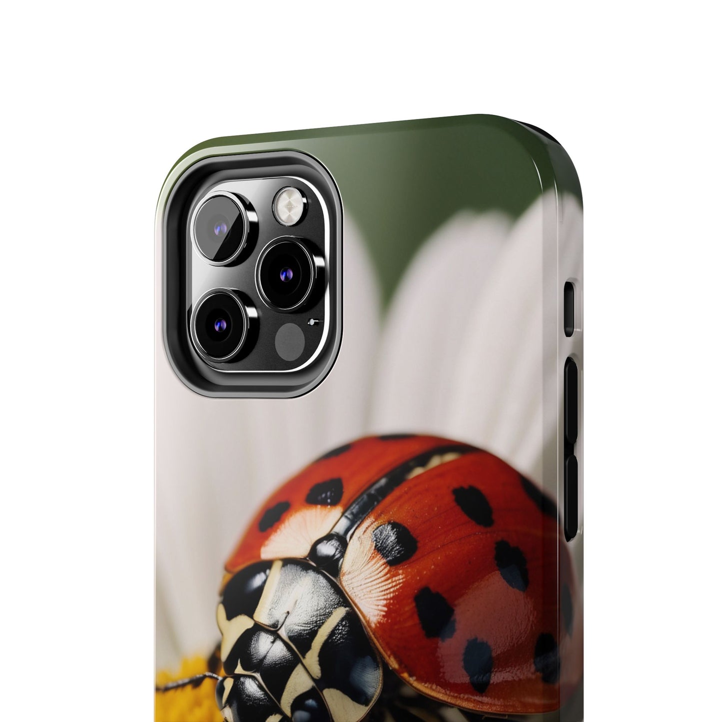 iPhone Case: Ladybug on White Daisy