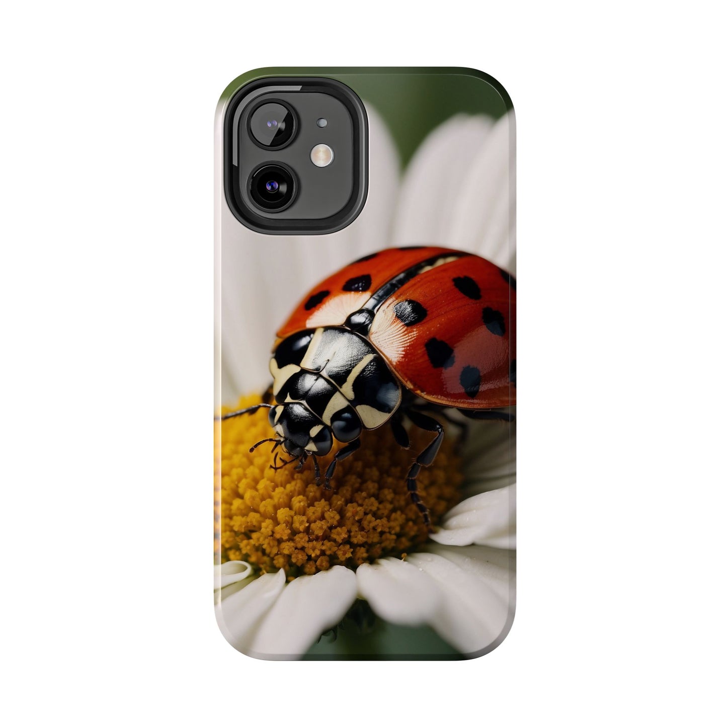 iPhone Case: Ladybug on White Daisy