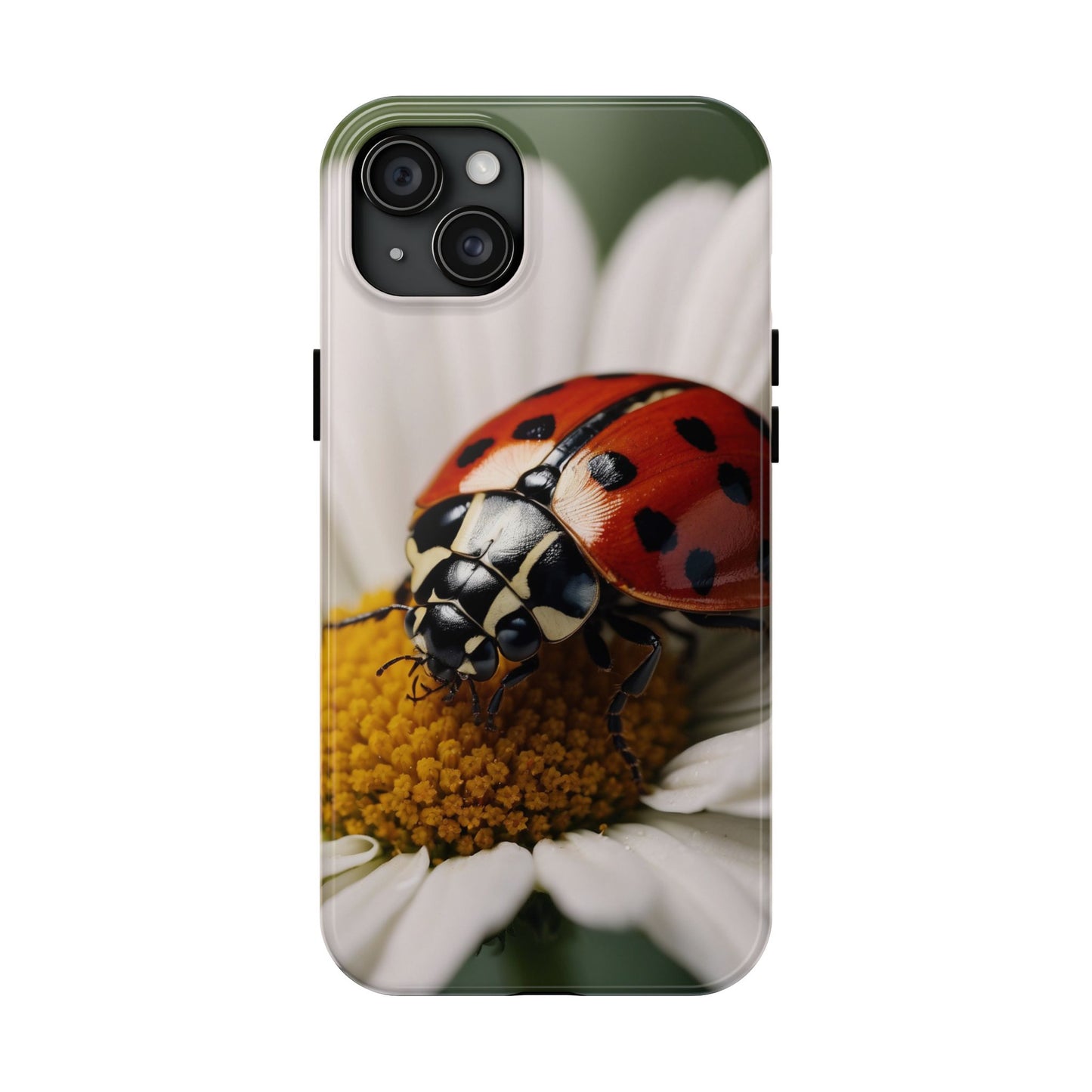 iPhone Case: Ladybug on White Daisy