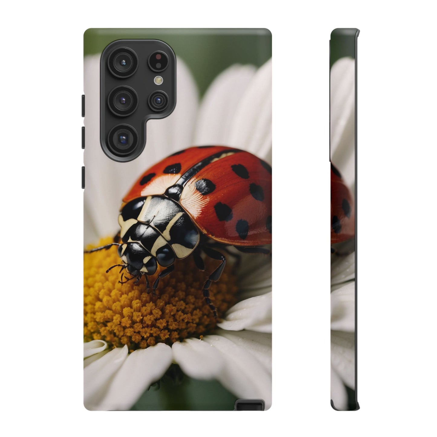 Samsung Galaxy Case: Ladybug on White Daisy