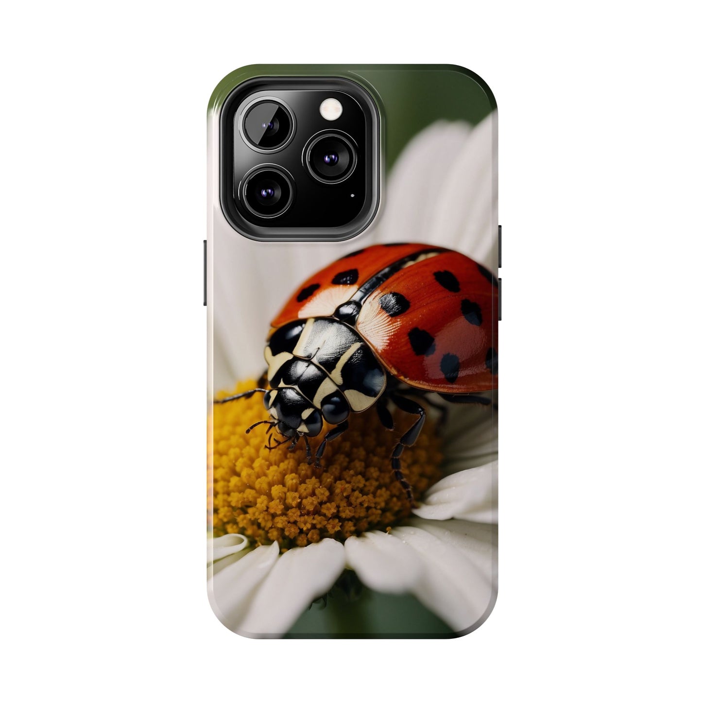 iPhone Case: Ladybug on White Daisy