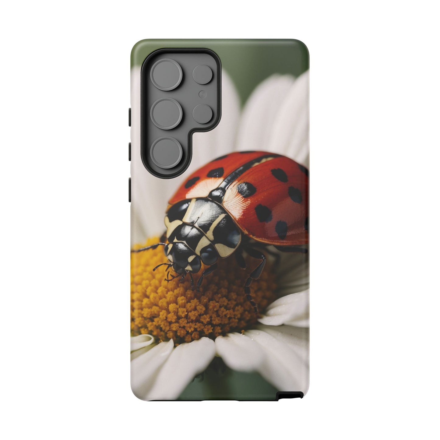 Samsung Galaxy Case: Ladybug on White Daisy