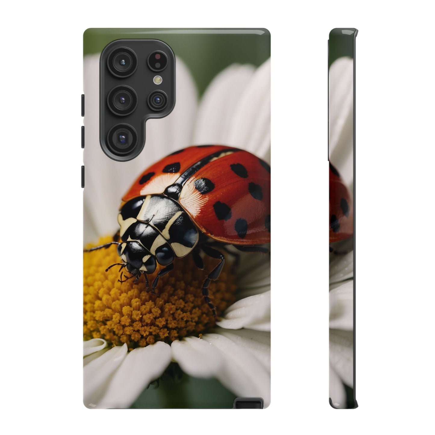 Samsung Galaxy Case: Ladybug on White Daisy