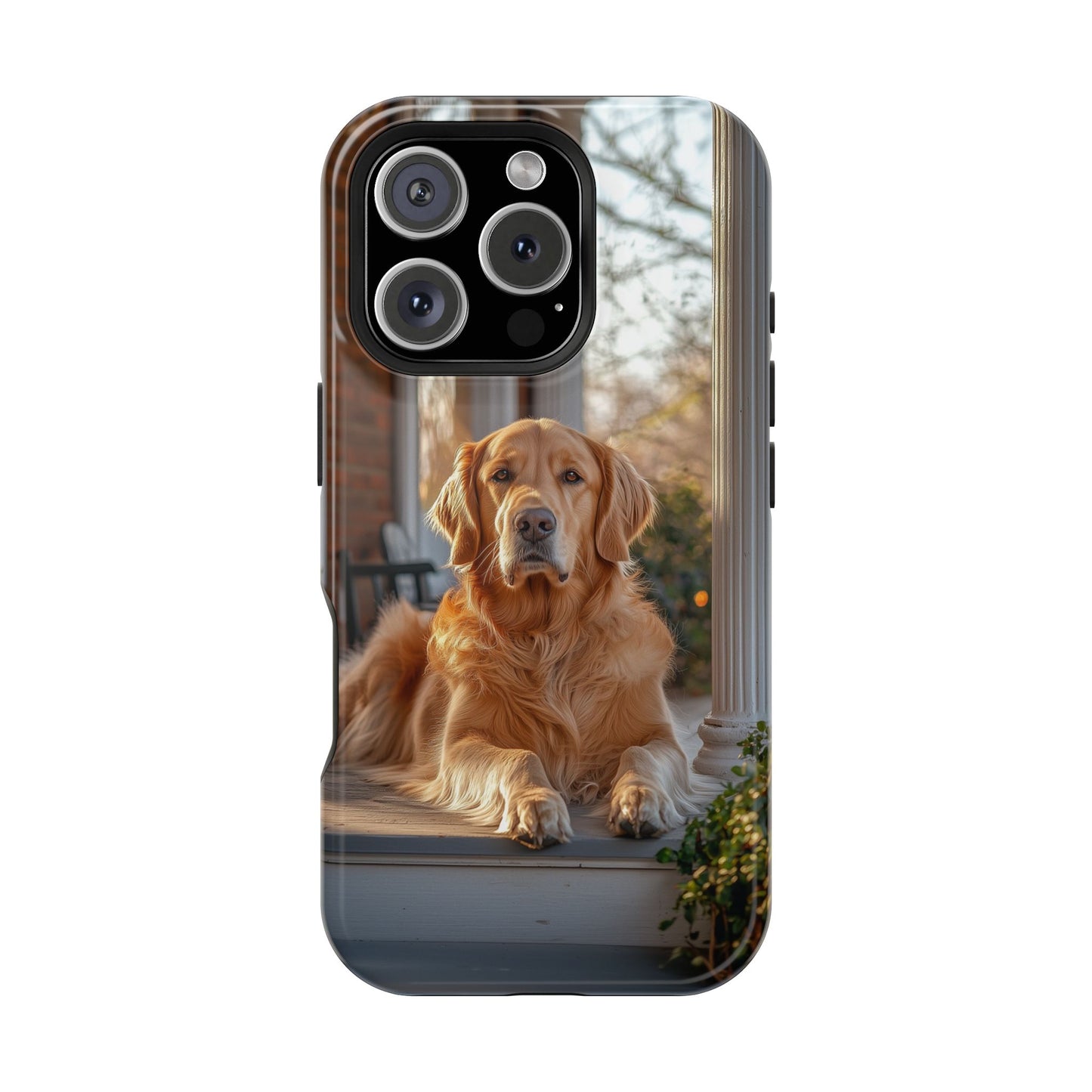 Golden Retriever on Porch - iPhone MagSafe Series Case