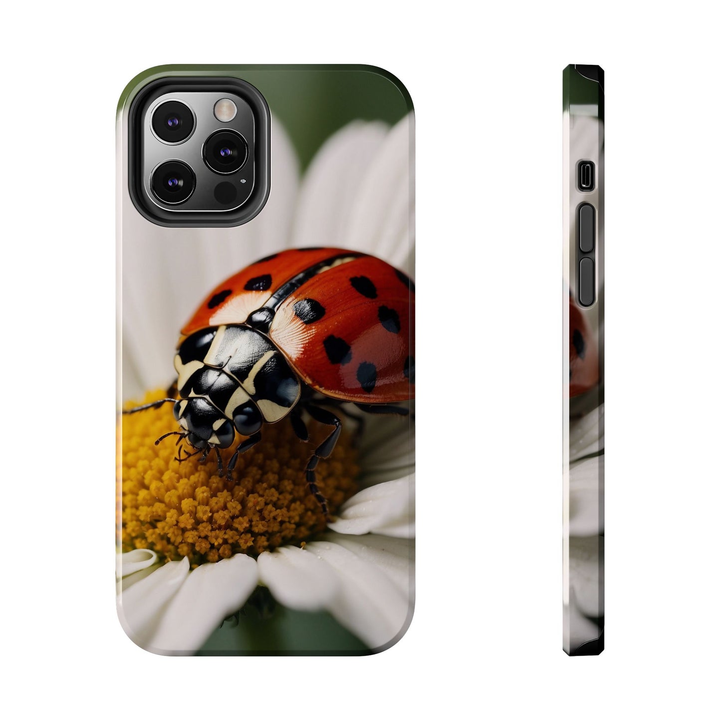 iPhone Case: Ladybug on White Daisy