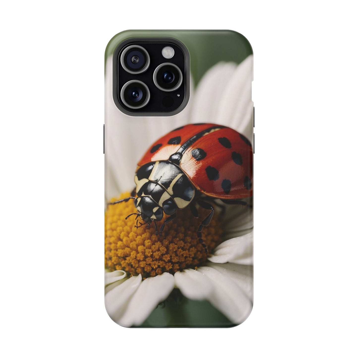 MagSafe iPhone Case: Ladybug on White Daisy