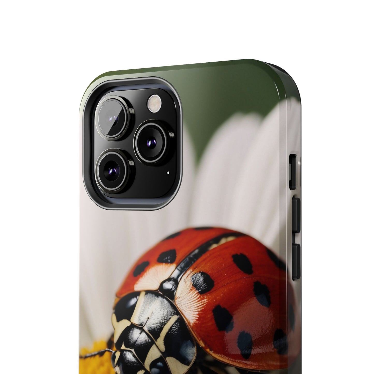 iPhone Case: Ladybug on White Daisy