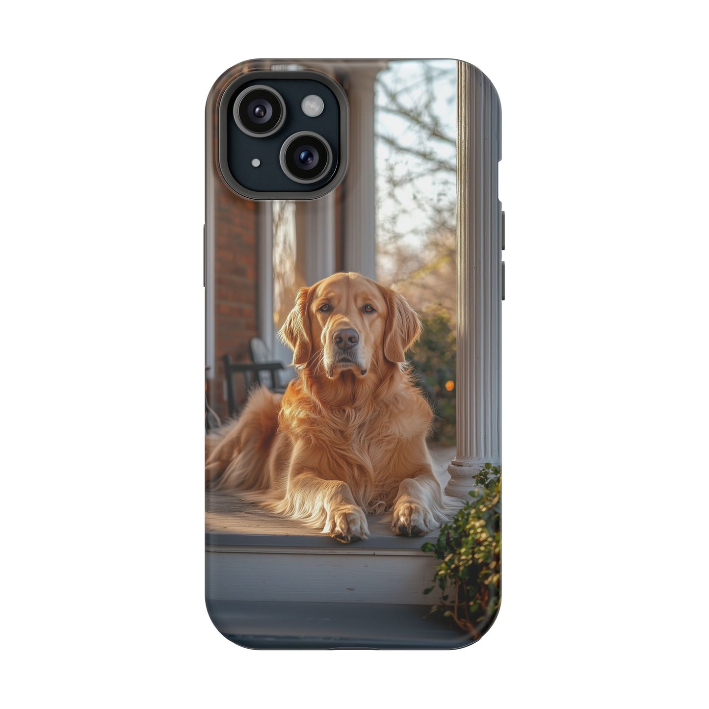 Golden Retriever on Porch - iPhone MagSafe Series Case