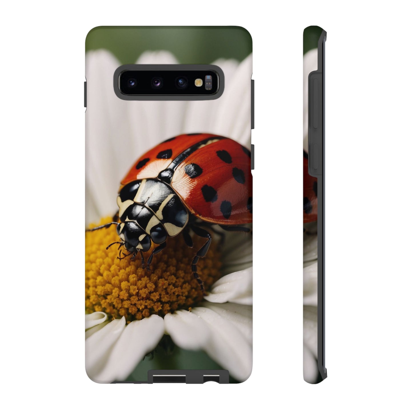 Samsung Galaxy Case: Ladybug on White Daisy