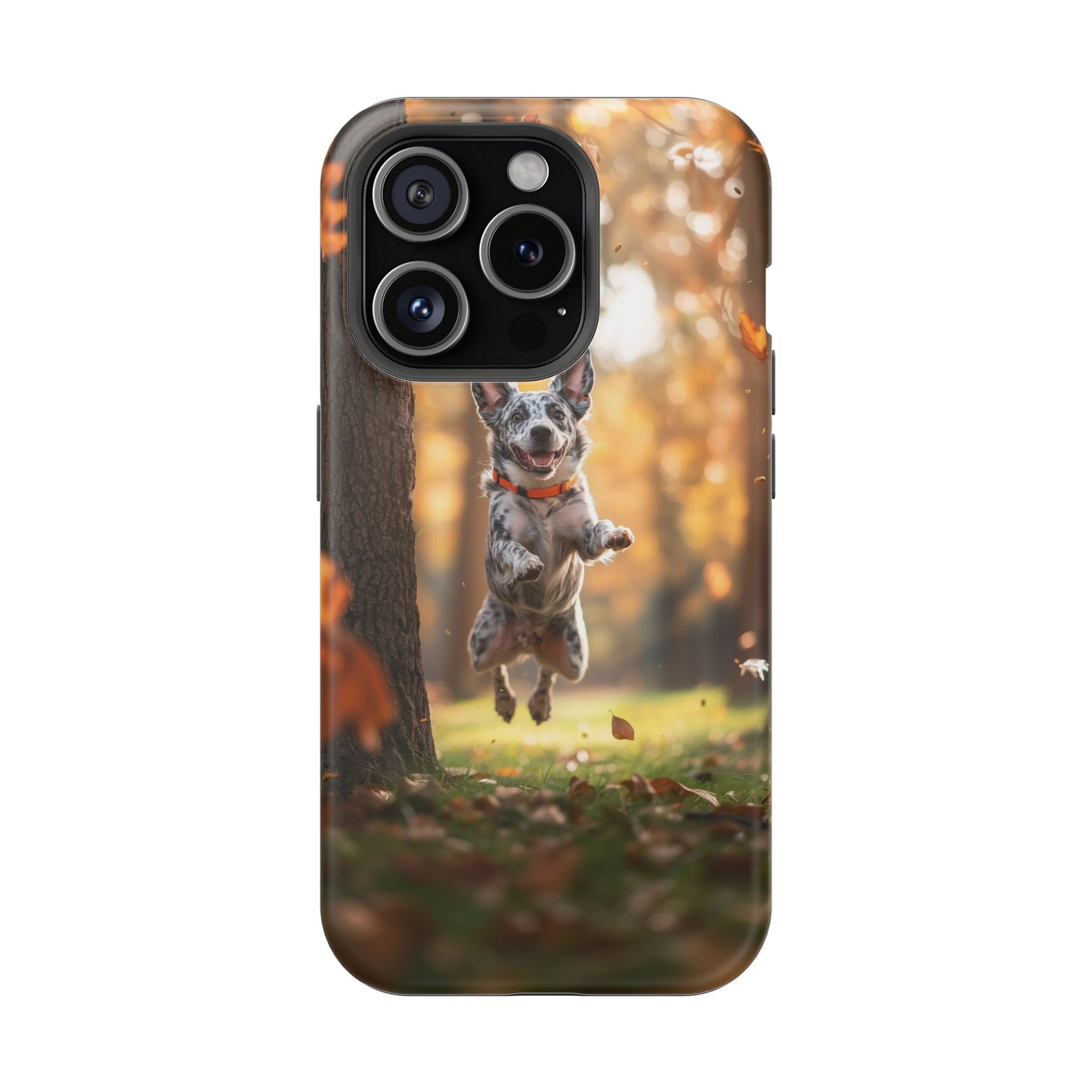 Energetic Blue Heeler Forest Pup MagSafe iPhone Case – Durable Outdoor-Inspired Design